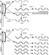 Figure 9.