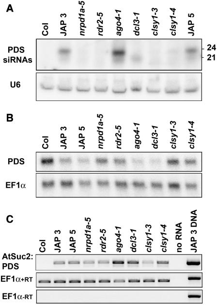 Figure 5.