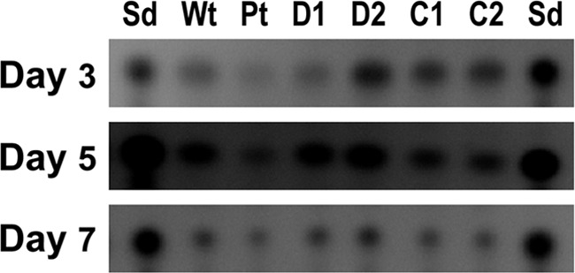 Fig 3