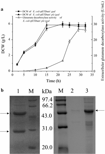 Fig. 6