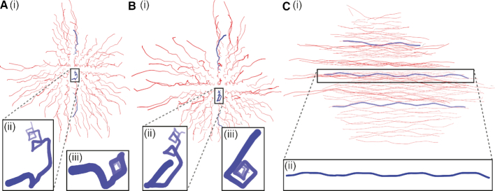 Figure 10.