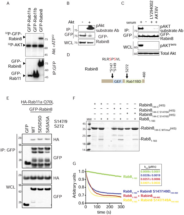 Figure 4: