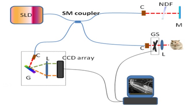 Fig. 1