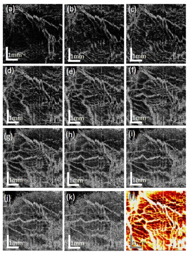 Fig. 7