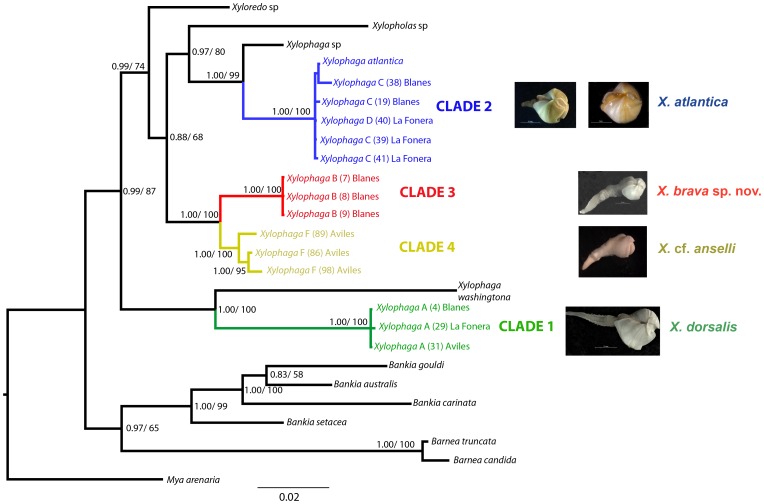 Figure 3