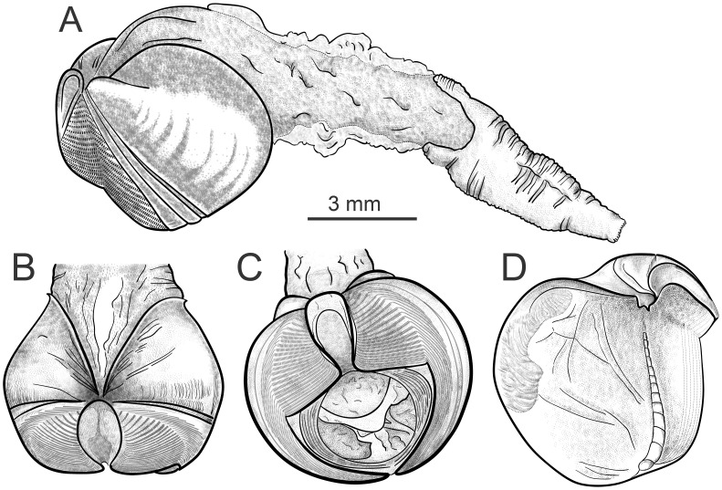 Figure 8