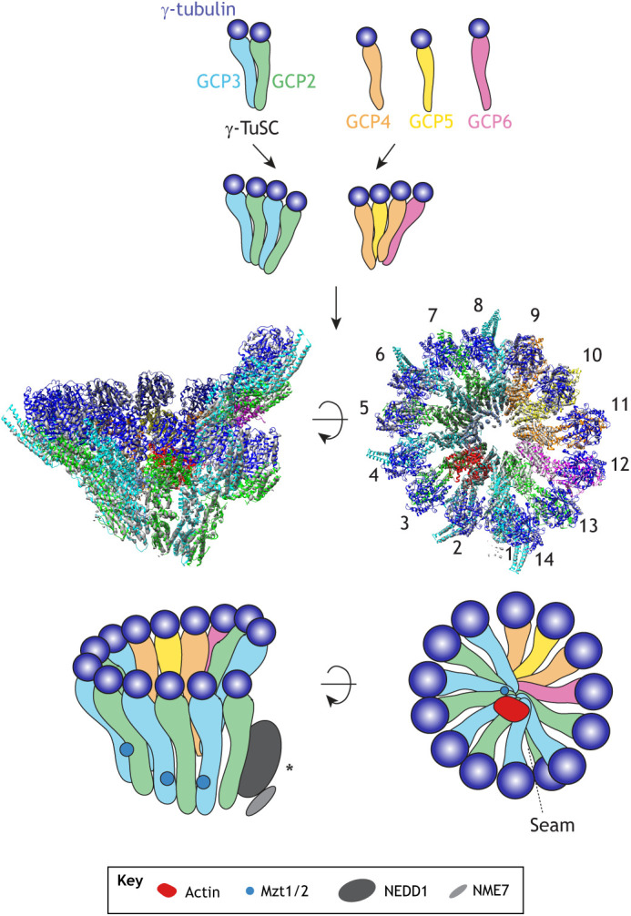 Fig. 1.