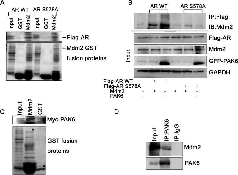 FIGURE 4.