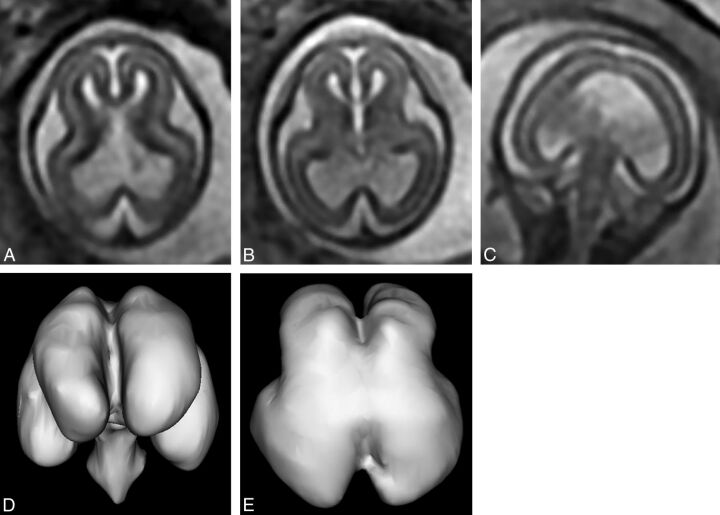 Fig 7.