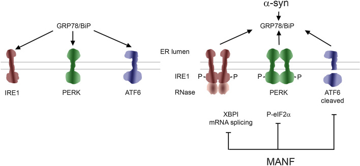 Fig. 1