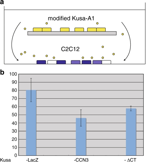 Fig. 6