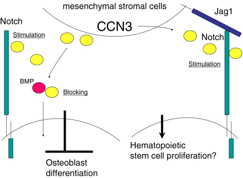 Fig. 7