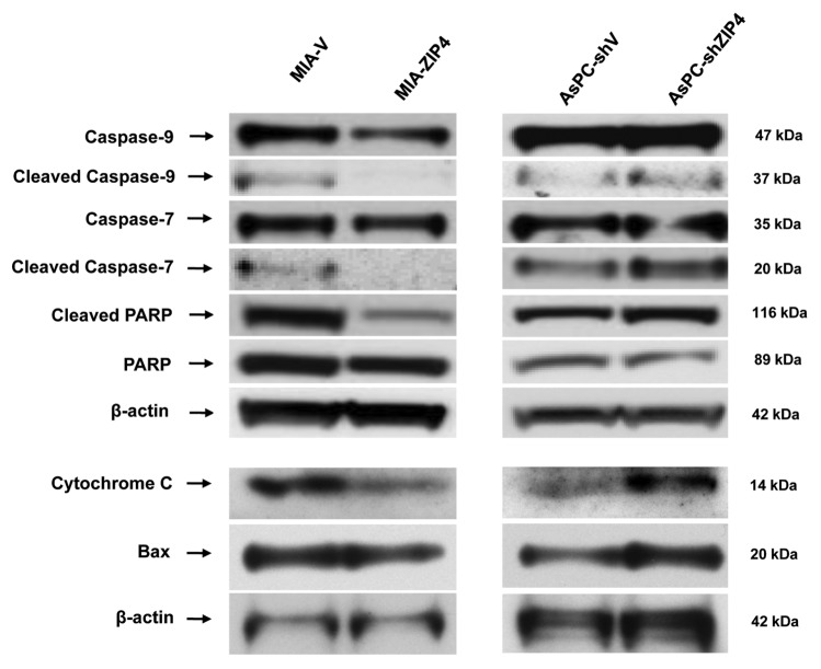 Figure 3.