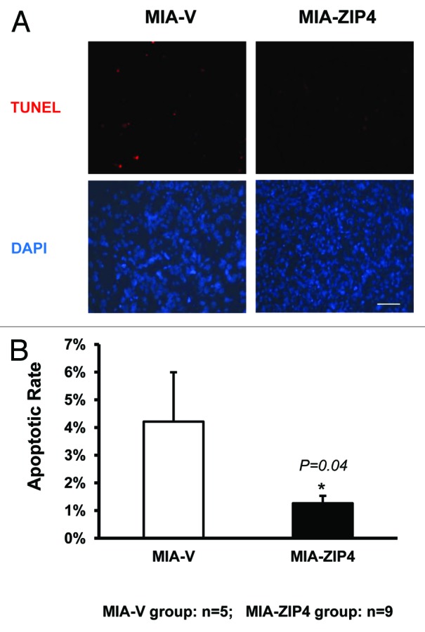 Figure 4.