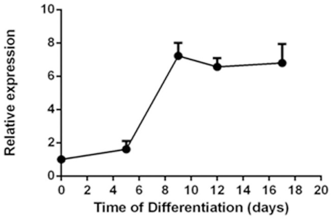 Fig 2