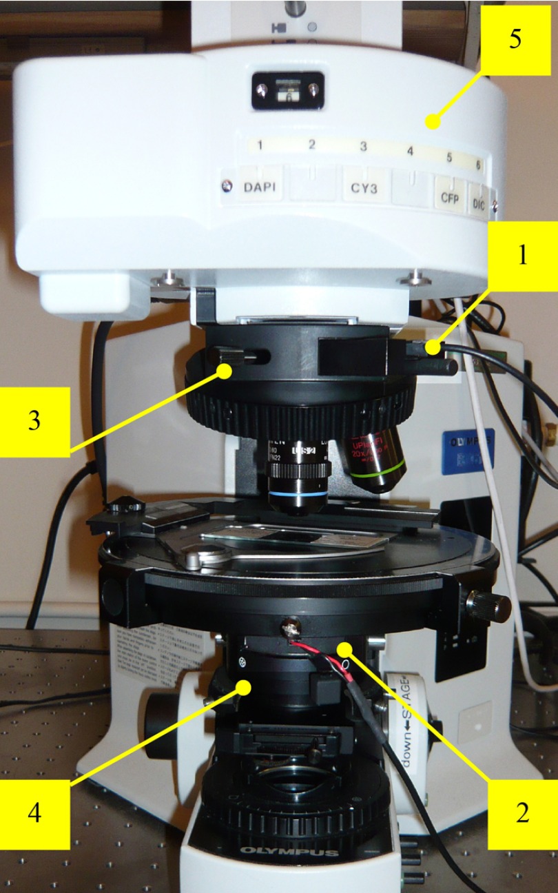 Fig. 3