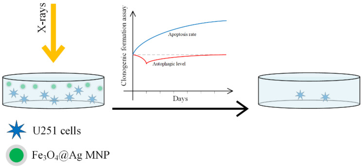 Figure 14