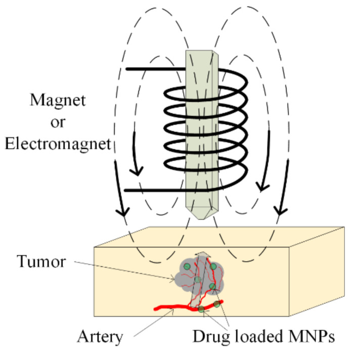 Figure 13