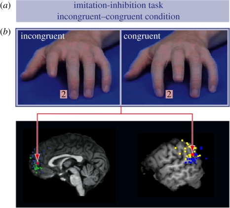 Figure 1.