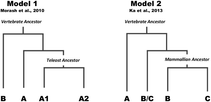 Fig 5