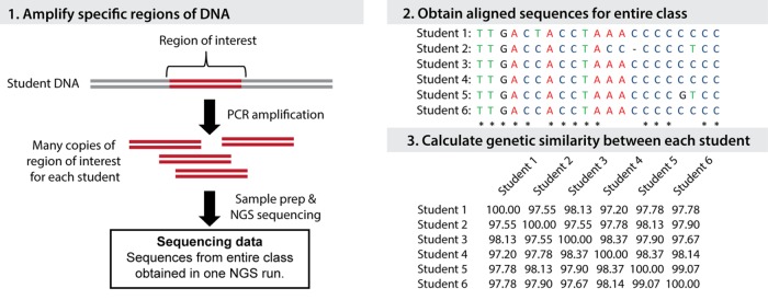 FIGURE 1.