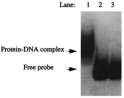 FIG. 5