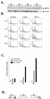 FIG.5.