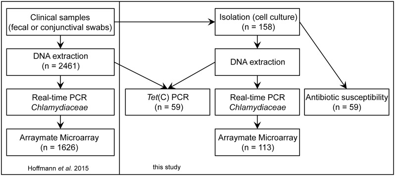 Fig 1