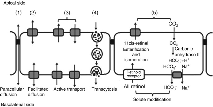 Fig. 10.2