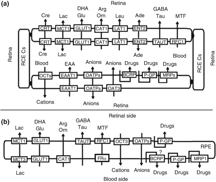 Fig. 10.3