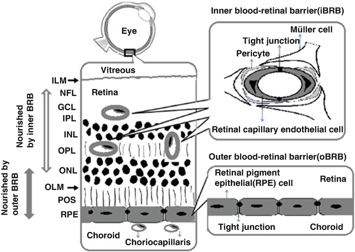 Fig. 10.1