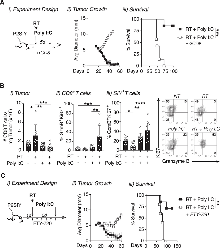 Figure 5: