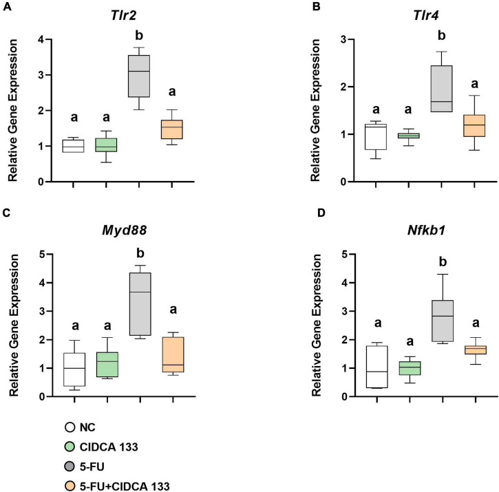 FIGURE 4