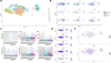 Extended Data Fig. 4 |