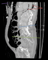 Fig. 2