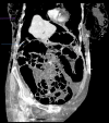 Fig. 5