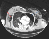 Fig. 8