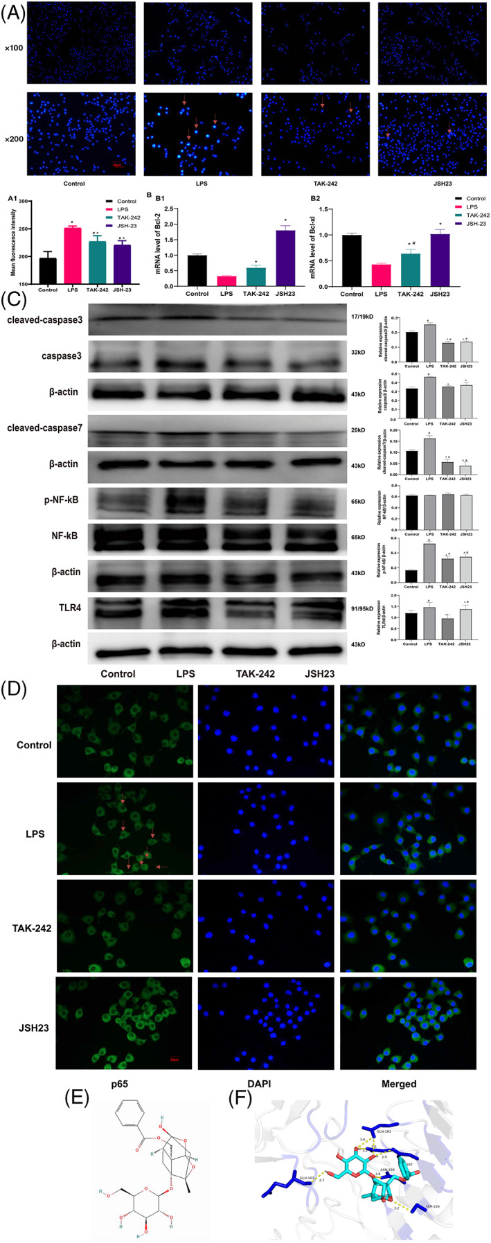 FIGURE 3