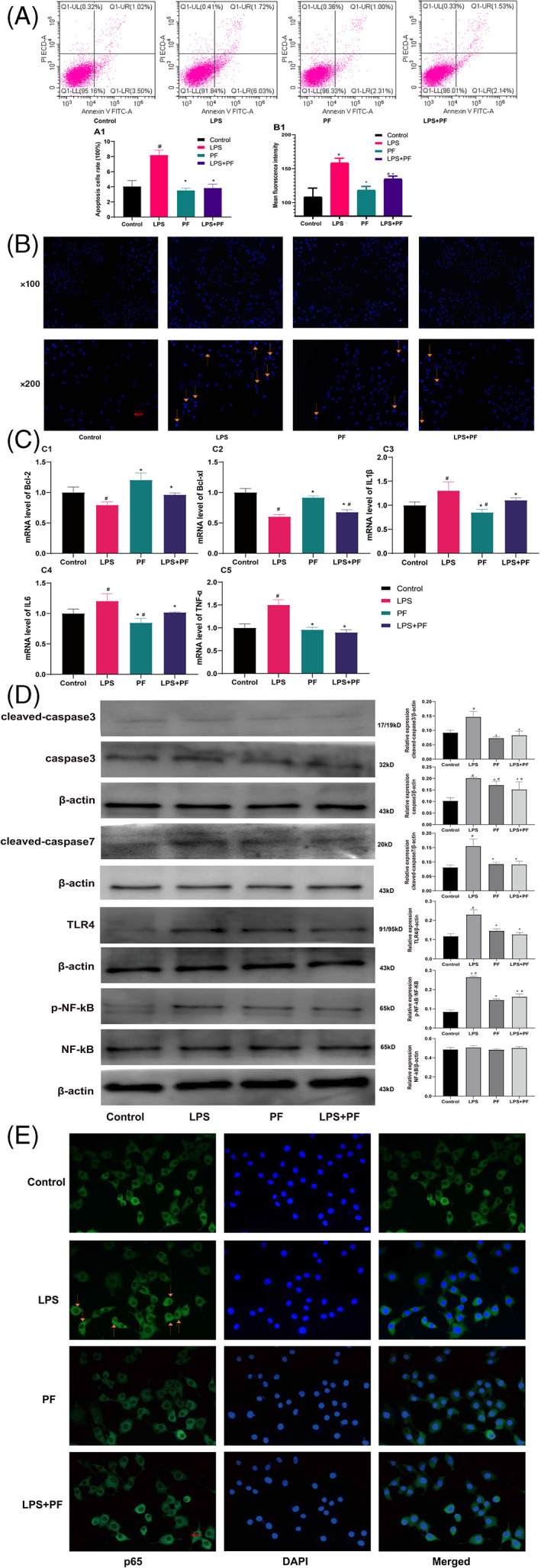 FIGURE 4