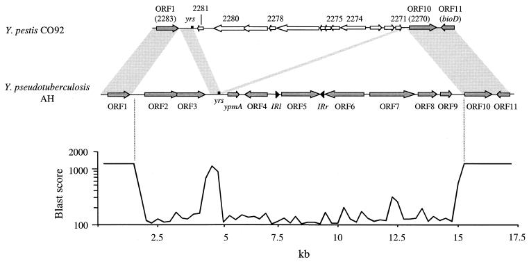 FIG. 5.