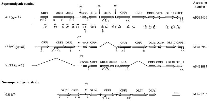 FIG. 1.