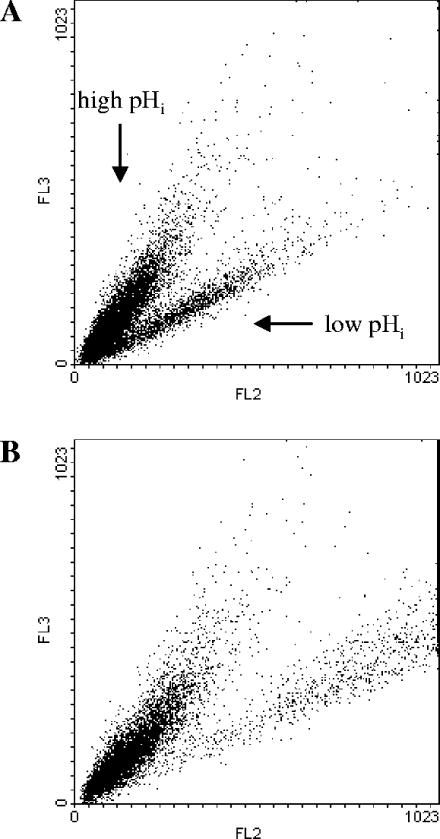 FIG. 2.