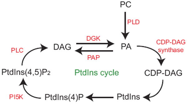 Fig. 4