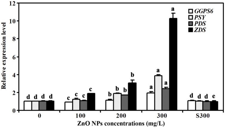 FIGURE 5