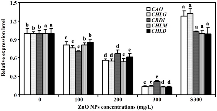 FIGURE 4