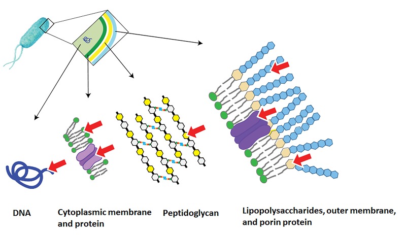 Figure 3.