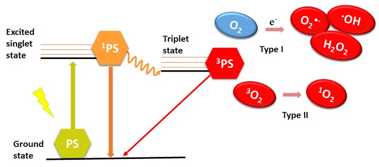 Figure 1.