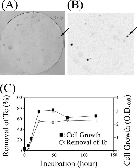 FIG. 1.