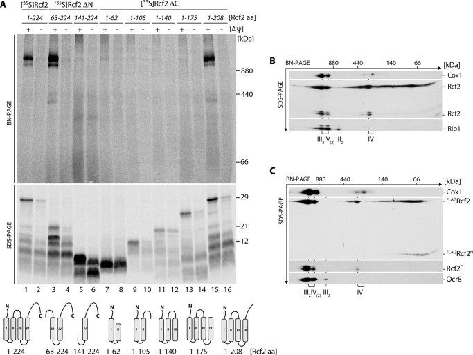 FIGURE 2.