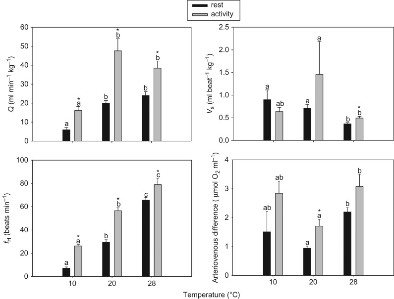 Figure 4: